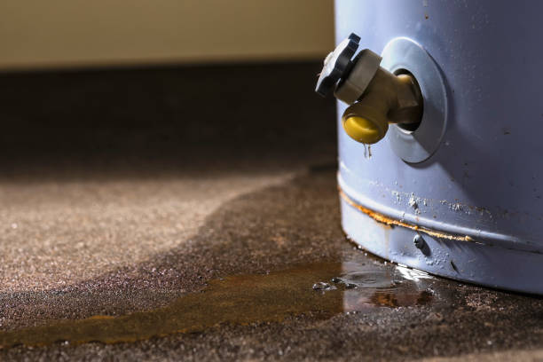 Trusted Mascot, TN Water damage restoration Experts