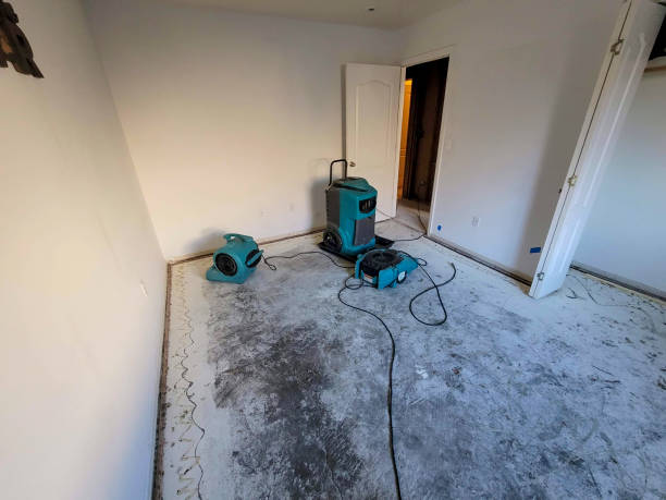Best Residential water damage restoration  in Mascot, TN