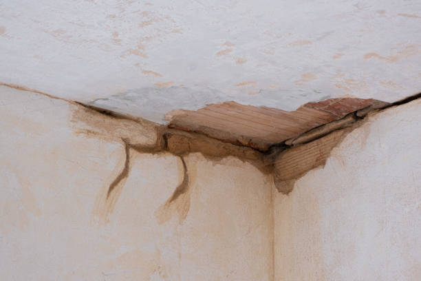Best Fire Damage Restoration  in Mascot, TN
