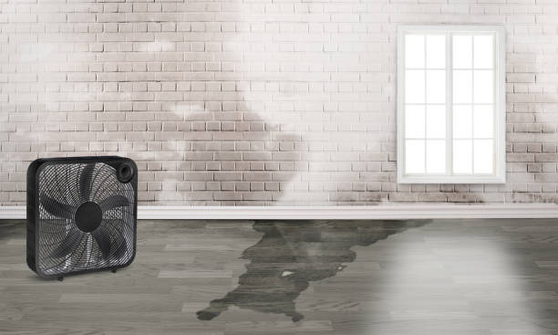 Best Commercial water damage restoration  in Mascot, TN