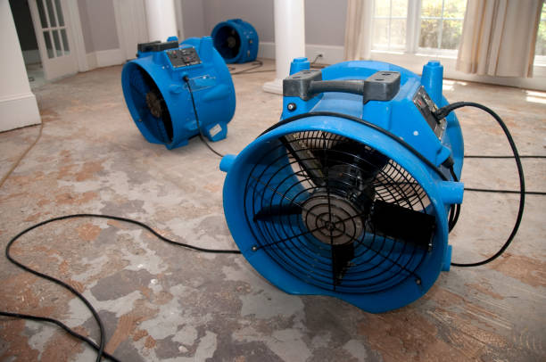 Best Water damage restoration company  in Mascot, TN