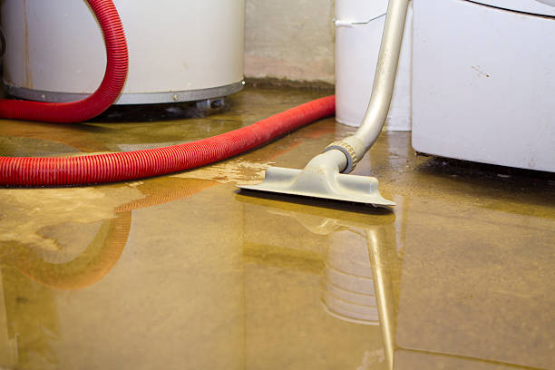 Best Water damage cleanup near me  in Mascot, TN