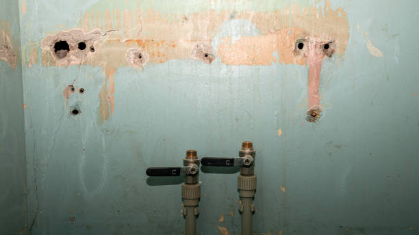 Best Ceiling water damage repair  in Mascot, TN