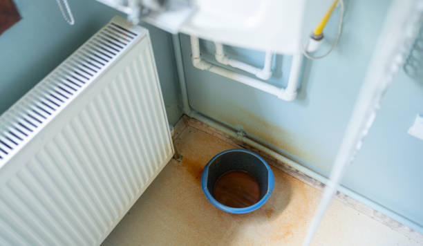Best Mold removal after water damage  in Mascot, TN