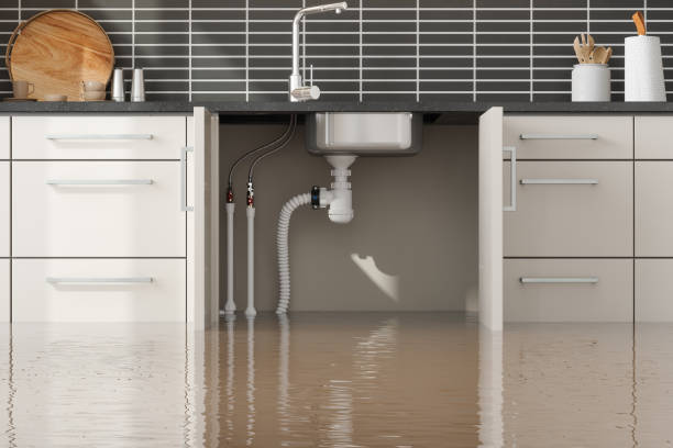 Best Water damage restoration process  in Mascot, TN